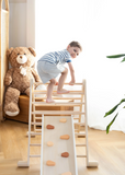 2 in 1 Climber Board and Slide ACCESSORIE for Triangle
