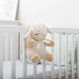 Sleep Sheep