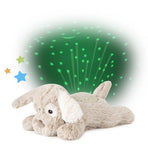 Dream Buddies