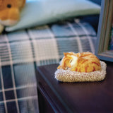 Mini 26 - Orange Tabby