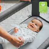 LullaGo Bassinet