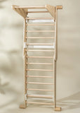 2 in 1 Triangle and Climber Wall