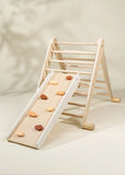 2 in 1 Climber Board and Slide ACCESSORIE for Triangle