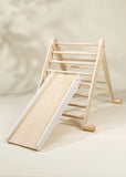 2 in 1 Climber Board and Slide ACCESSORIE for Triangle