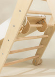 2 in 1 Climber Board and Slide ACCESSORIE for Triangle