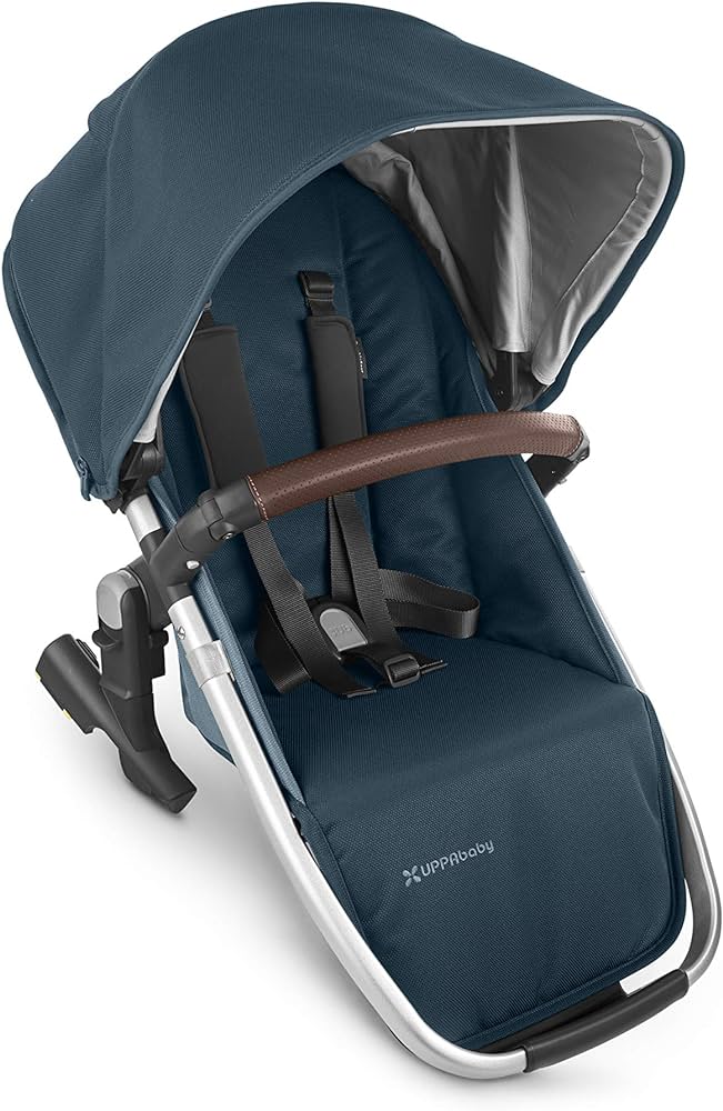 2024 Vista V2+ Rumble Seat – Chicken Little